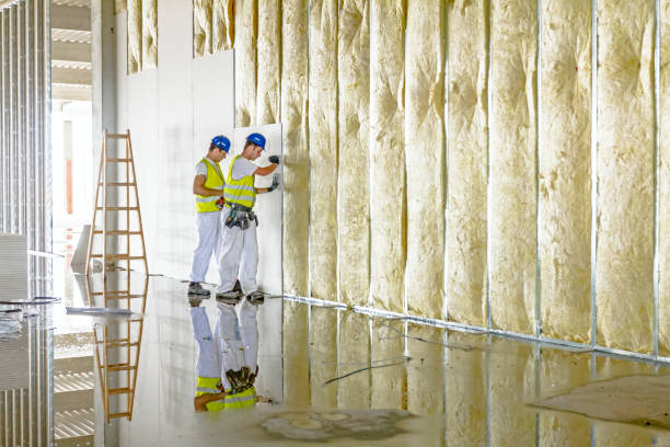 Best Insulation Installation Services in Venersborg, WA